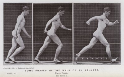 Den menneskelige figuren i bevegelse: Noen faser i en idrettsutøver (s/hvitt-bilde) av Eadweard Muybridge