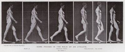Den menneskelige figuren i bevegelse: Noen faser i en idrettsutøver (s/hvitt-bilde) av Eadweard Muybridge