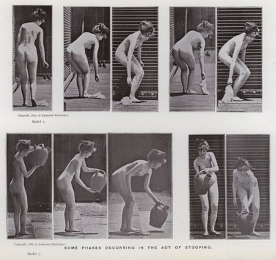 Den menneskelige figuren i bevegelse: Noen faser som oppstår i handlingen med å bøye seg av Eadweard Muybridge