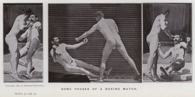 The Human Figure in Motion: Noen faser av en boksekamp (s/hvitt-bilde) av Eadweard Muybridge