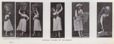 Den menneskelige figuren i bevegelse: Ulike faser av bevegelse (s/hvitt-bilde) av Eadweard Muybridge