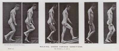 Den menneskelige figuren i bevegelse: Gå, under forskjellige forhold (s/hvitt-bilde) av Eadweard Muybridge