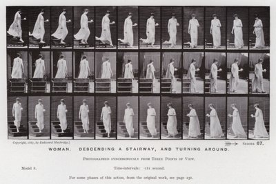 Den menneskelige figuren i bevegelse: Kvinne, går ned en trapp og snur seg (s/hvitt-bilde) av Eadweard Muybridge