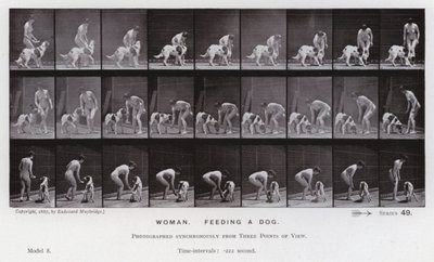 Den menneskelige figuren i bevegelse: Kvinne, mater en hund (s/hvitt-bilde) av Eadweard Muybridge