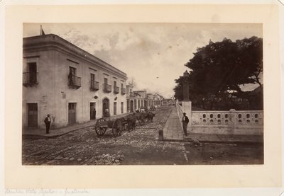  av Eadweard Muybridge