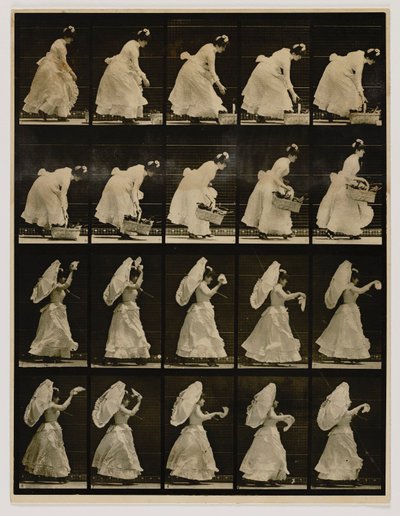  av Eadweard Muybridge