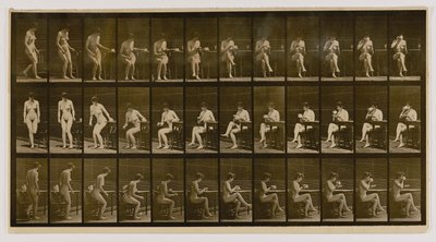  av Eadweard Muybridge