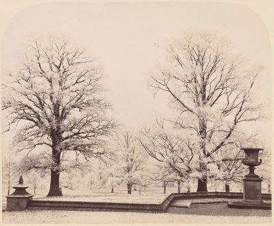 Rimfrost, en parkscene av Earl of Caithness