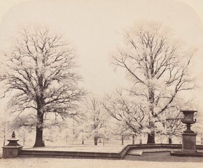 Rimfrost, en parkscene, 1862. av Earl of Caithness James Sinclair