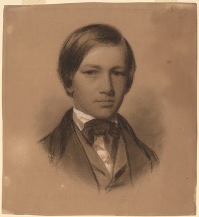 Portrett av en ung mann av Eastman Johnson