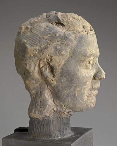 Head, Study for a Portrait of Mme Salle, ca. 1892 (leire, metallarmatur, på trebunn) av Edgar Degas