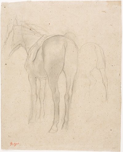 Studier av en hest av Edgar Degas