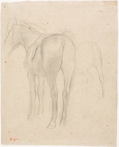 Studier av en hest av Edgar Degas