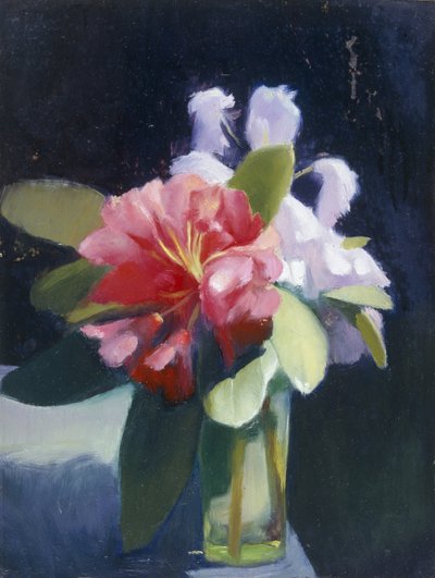 Rhododendroner av Edgar Herbert Thomas