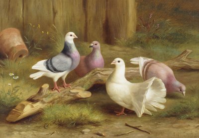  av Edgar Hunt