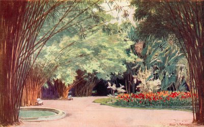 A Bamboo Grove, Botanical Gardens (farge litho) av Edgar L. Pattison