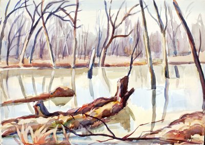 Rock Creek, vinter, ca. 1920-1929. av Edgar Nye