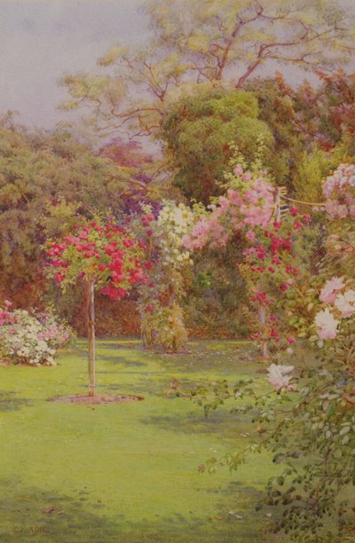 En rosehage (akvarell på papir) av Edith Helena Adie
