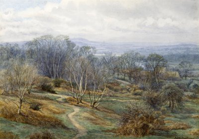 Hampstead Heath ser mot Harrow on the Hill, ca. 1880 (wc på papir) av Edith Martineau
