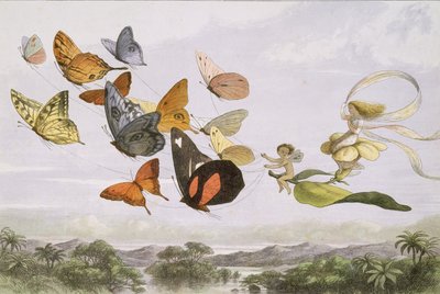 In Fairyland: A Series of Pictures from the Elf-World, 1870. av Edmund Evans