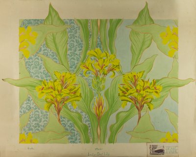 Indian Shot Lily, ca. 1895 (gouache på papir) av Edmund Hunter