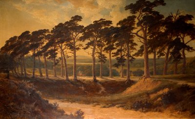 Harrow from the First, Hampstead Heath, 1875 av Edmund John Niemann