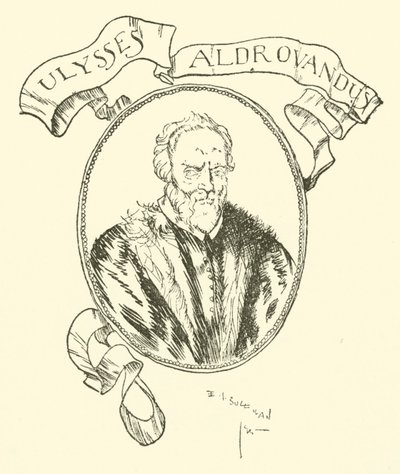 Ulysses Aldrovandus av Edmund Joseph after Sullivan