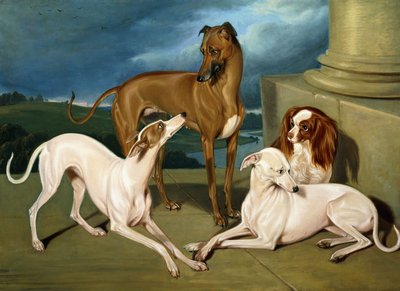 Whippets og en King Spaniel, 1837 av Edmund Jr Havell