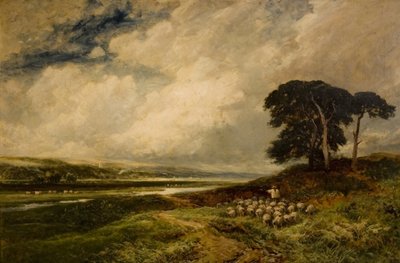Landskap med sauer, 1899 av Edmund Morison Wimperis