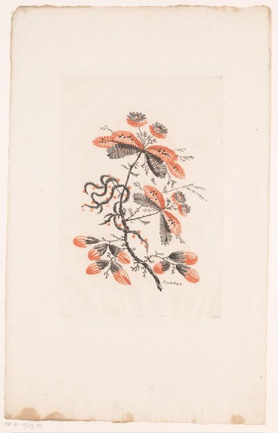 Blomster og knopper Fleurs Idealle (serietittel) av Edouard Gautier Dagoty