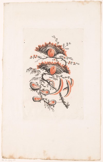 Vifteformede blomster Fleurs Idealle (serietittel) av Edouard Gautier Dagoty