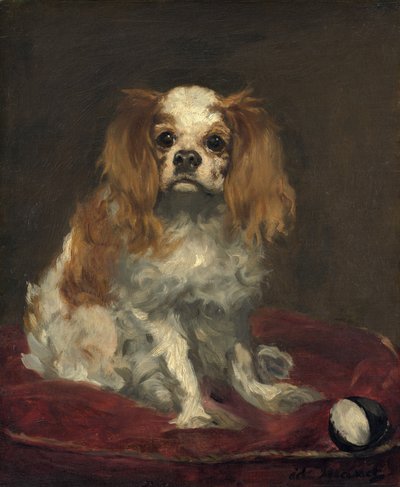 En King Charles Spaniel av Édouard Manet