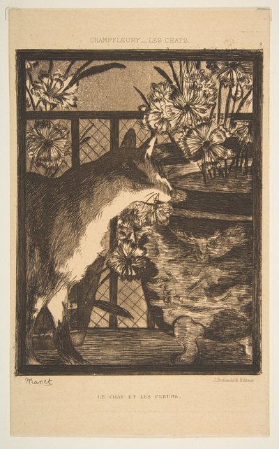 Katt og blomster. Illustrasjon til The Cats av Champfleury, 1869. av Édouard Manet