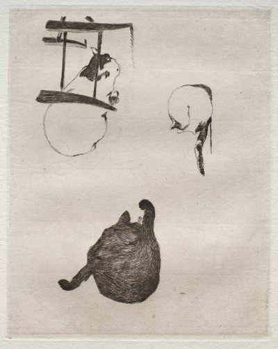 Kattene, 1868-1869. av Édouard Manet