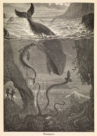 Frontispiece av Jules Vernes «Tjue tusen ligaer under havet», ca. 1870 (trykk) av Edouard & Neuville Alphonse-Marie-Adolphe de (1835-85) Riou