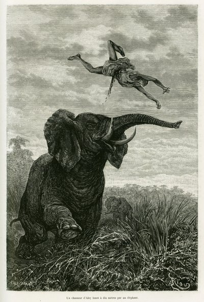 Aleys jeger kaster en mil fra en elefant. Gravering av Riou for å illustrere historien Les lacs de l