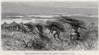 Fanger som bærer ved i bushen. Gravering av Riou, for å illustrere historien "" Fra Niger til Guineebukta", av kaptein Louis Gustave Binger (1856-1936), i 1887-1889, i Le tour du monde, nouveau journal des voyages, under ledelse av Edouar av Edouard Riou