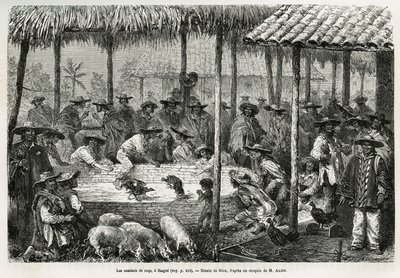 Hanekamp og gateanimasjon i Ibague (Colombia), tegning av Riou, for å illustrere historien om Equinoxiale America (Colombia, Ecuador, Peru), i 1875-1876, av Ed. andre, reiseoppdrag fra den franske regjeringen. Gravering i Le tour du monde av Edouard Riou