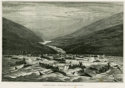 Delfinfiske. Gravering av Riou for å illustrere historien A month in the Faeroer archipelago (Faroer, Faroe, Denmark), av H.Labonne, in le tour du monde 1887, regissert av Edouard Charton (1807-1890), Hachette, Paris. av Edouard Riou