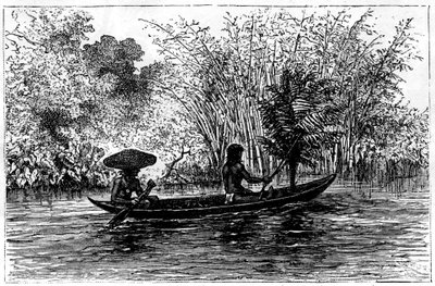 Dugout i Essequibo-elven, Guyana, 1800-tallet av Edouard Riou