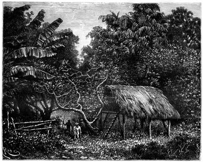 Guyana, Sør-Amerika, 1800-tallet av Edouard Riou