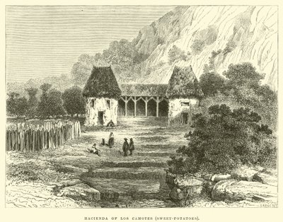 Hacienda of Los Camotes, søtpoteter av Edouard Riou