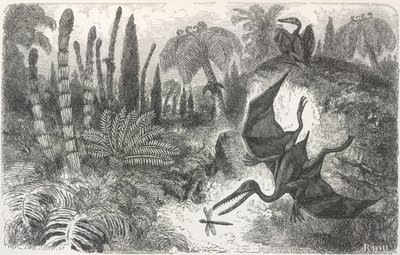 'Landskap fra den liasiske perioden'. Illustrasjon som viser en Pterodactyl av Edouard Riou