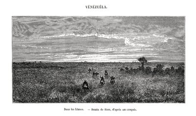 Los Llanos, Venezuela, 1800-tallet av Edouard Riou