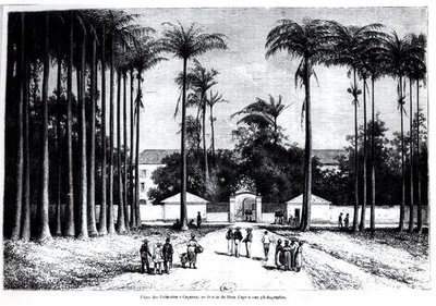 Place des Palmistes, Cayenne, Guyana av Edouard Riou