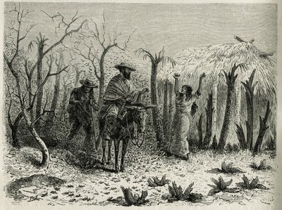 The Clouds of Grasshoppers of the Vallee du Upper Patia, med på muldyret fortelleren av reisen, gravert av Riou, for å illustrere historien L