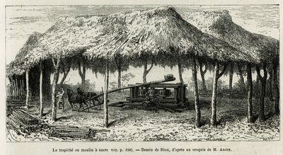 Trapisjen, eller sukkermøllen for å male stokkene i Panche (Colombia), tegning av Riou, for å illustrere historien om Equinoxiale America (Colombia, Ecuador, Peru), i 1875-1876, av Ed. andre, reiseoppdrag fra den franske regjeringen. Gravering i Le t av Edouard Riou