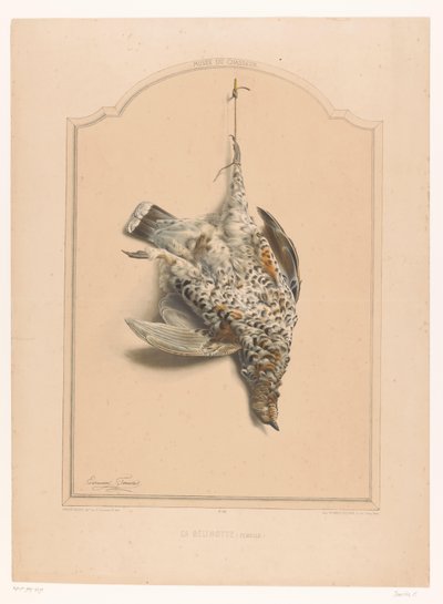 Død halskragefugl som henger på ett ben La gélinotte (kvinne) (tittel på objekt) Museum of the Hunter (serietittel) Musée du chasseur (serietittel på objekt) av Edouard Travies