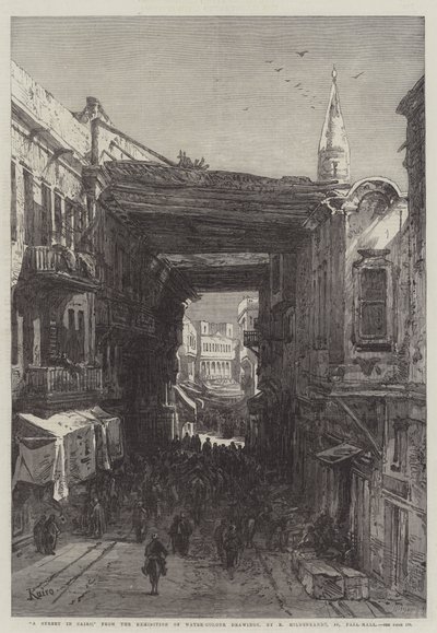 En gate i Kairo av Eduard Hildebrandt