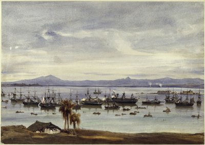 Utsikt over Rio de Janeiro av Eduard Hildebrandt